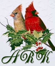 ADSA: ARK Webontwerp (Afrikaans) Borgskappe 2016 ADSA: ARK Webontwerp (Afrikaans) Borgskappe