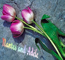 ADSA: Nantes and Adèle are available for shows ADSA: Nantes and Adèle are available for shows